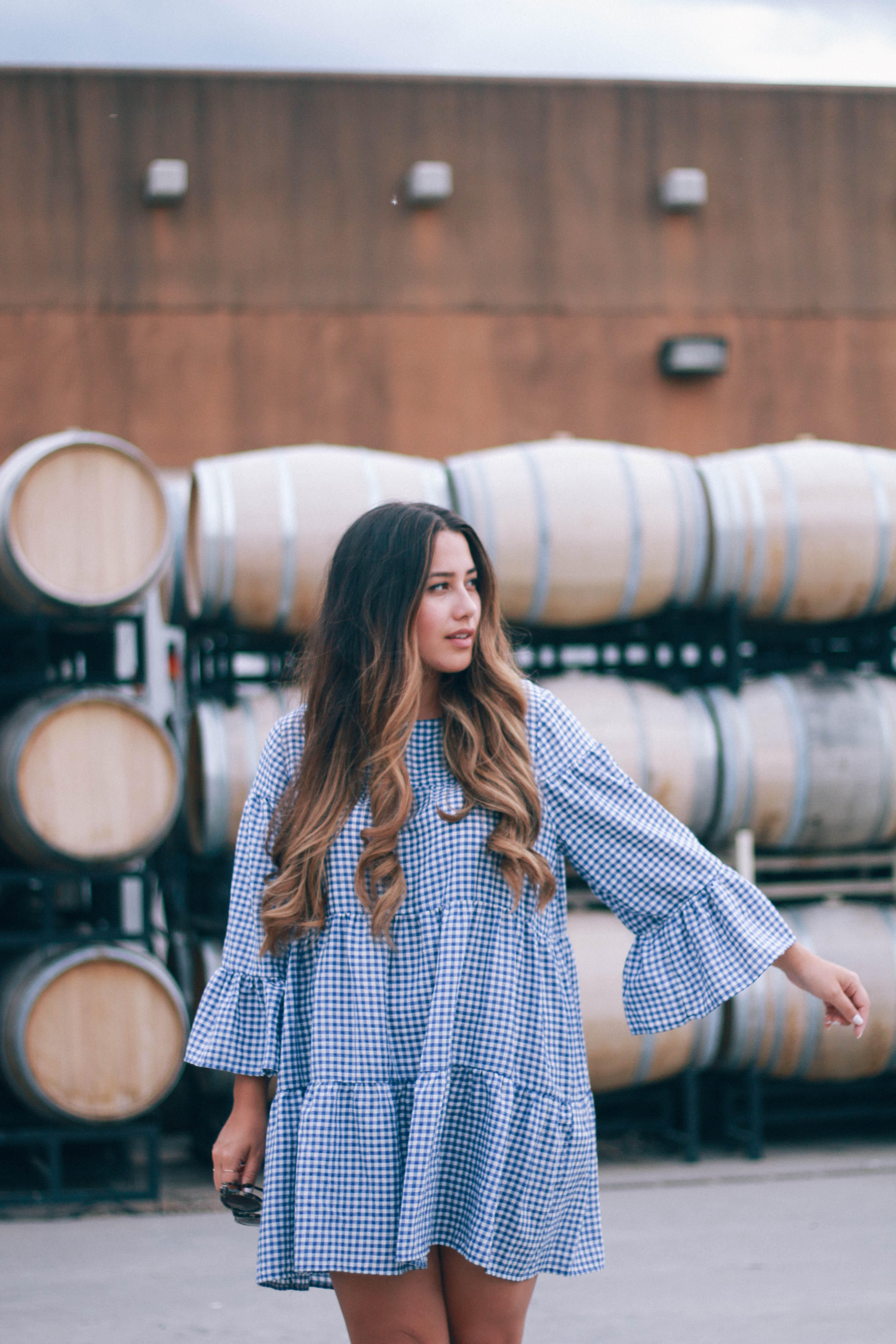 zara blue gingham dress